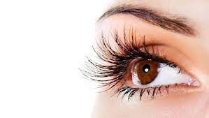 Lash & Brow Serum